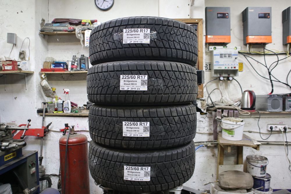 Bridgestone Blizzak DM-V2 700 фото